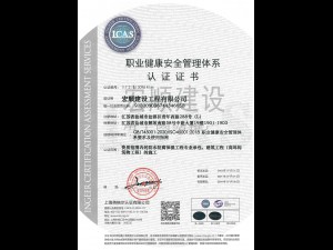 職業(yè)管理體系認證書